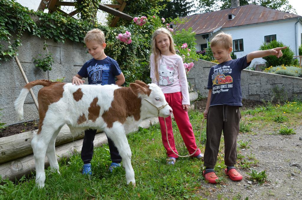Ferienwohnung Vonwald Michelbach Esterno foto